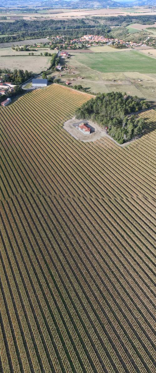 DJI_4167.JPG